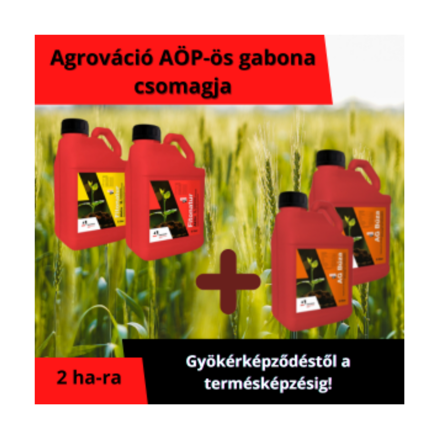 AG AÖP-ös Gabona csomag - természetes hatóanyagú növénykondicionáló készítmény és levéltrágya a kalászokért
