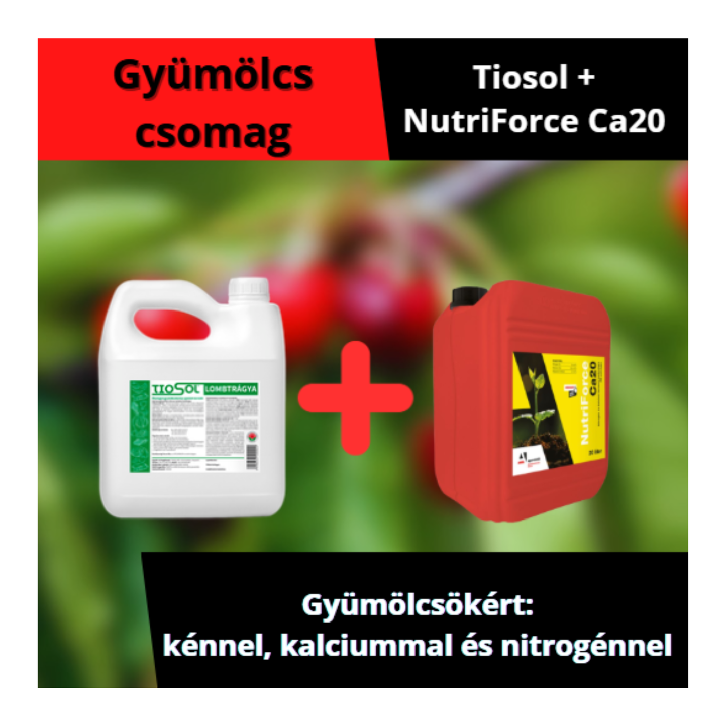 GyümölcsCSOMAG: Tiosol+NutriForce Ca20