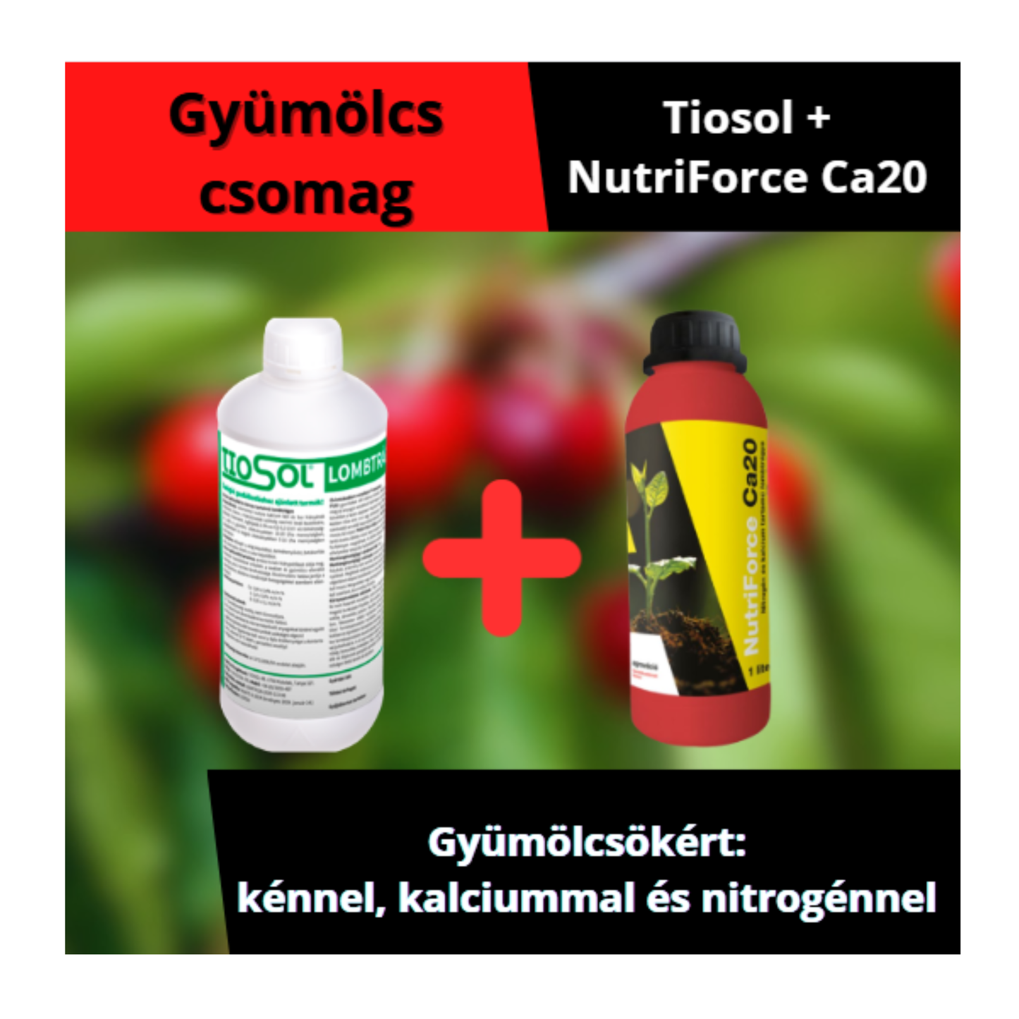 GyümölcsCSOMAG: Tiosol+NutriForce Ca20