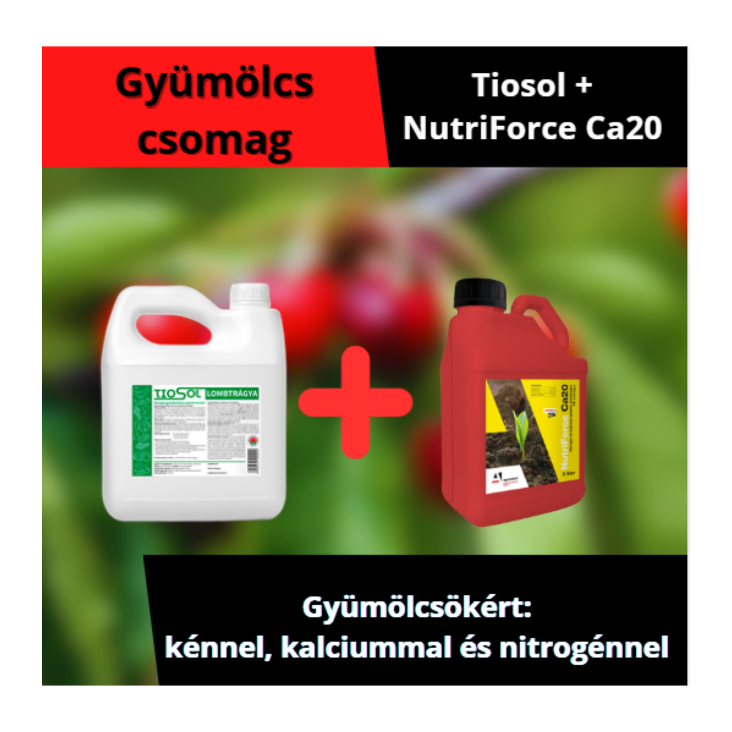 GyümölcsCSOMAG: Tiosol+NutriForce Ca20